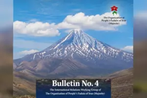 Bulletin nr. 4